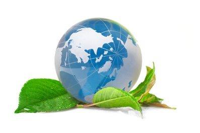 Обучение по экологии и экологической безопасности